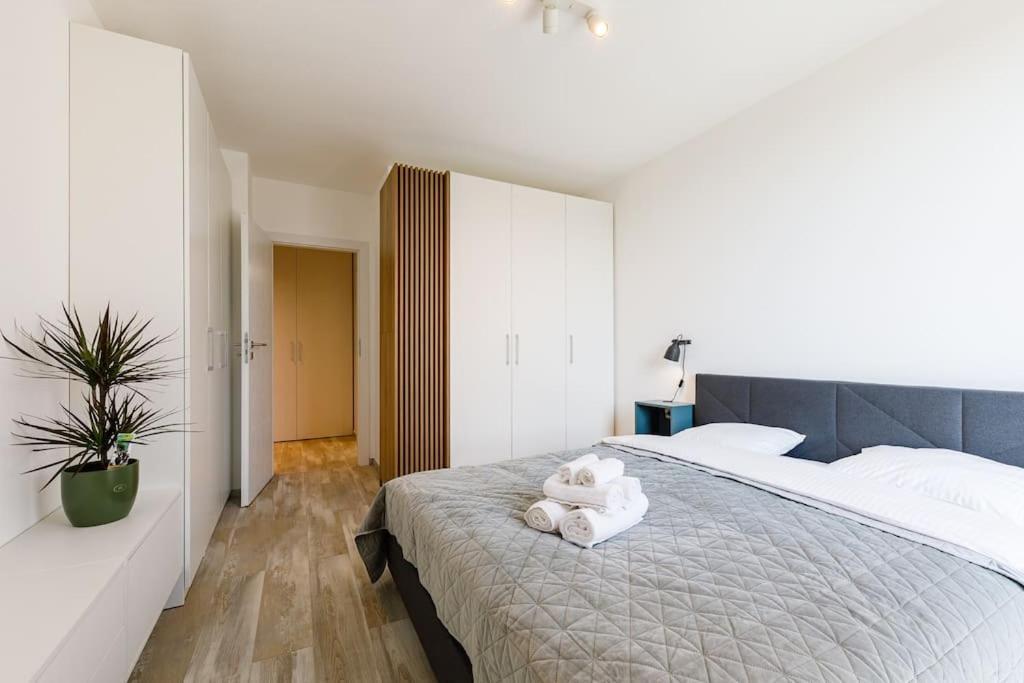 Luxury Apt. Near River & Parking Timisoara Bagian luar foto