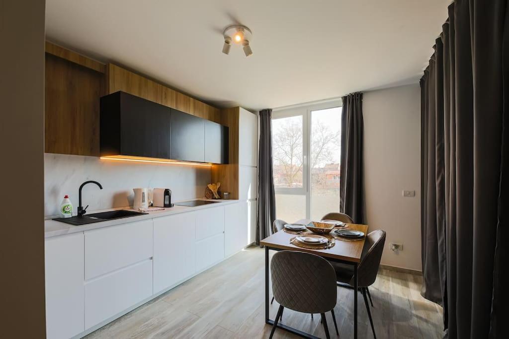 Luxury Apt. Near River & Parking Timisoara Bagian luar foto